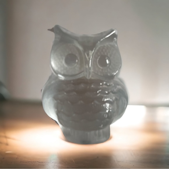 Viking Glass owl Paper weight. - Picture 3 of 4